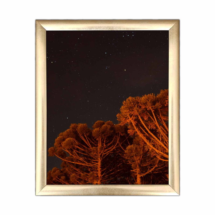 Wallity Cuadro Decorativo ACT-037 Multicolor
